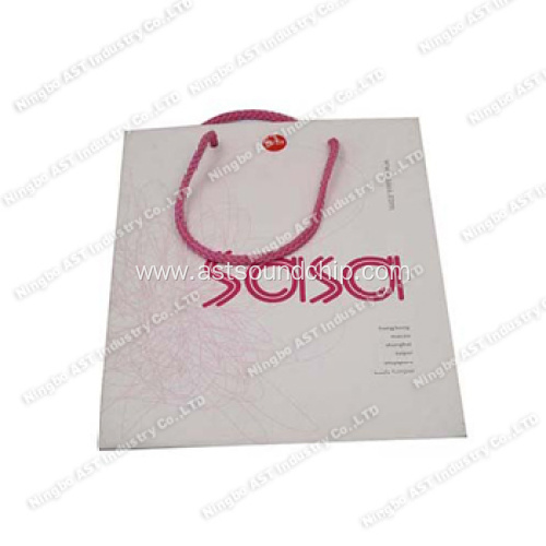 Promotional Bag, Music Paper Bag, Promotion Gift, Paper Bag